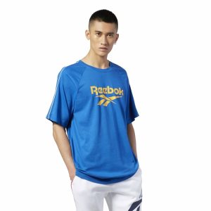 Reebok Classic Vector Print T Shirt Herren - HellBlau - DE 953-WLU